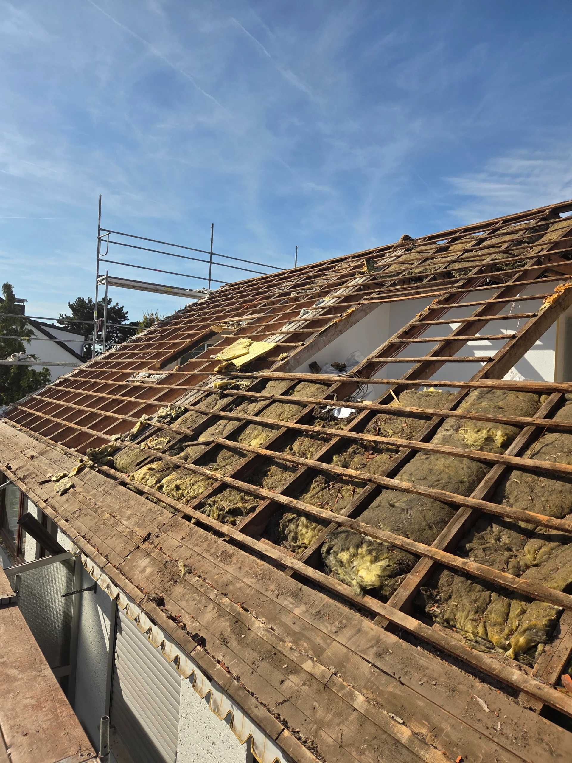 20251008 144943 scaled